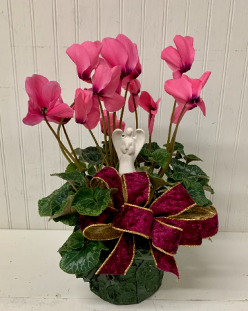 Pretty Cyclamen with Angel