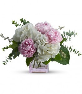 PEONIES 1 WEEK ONLY Delivery Thurs- Sun Mothers Day