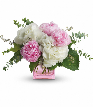 Pretty in Peony H1452A