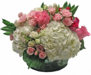 Pretty in Pink Cut Flowers