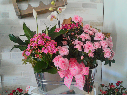 Pretty In Pink Planter