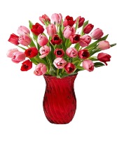 Pretty in pink Red and Pink Tulips