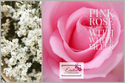 Pretty in Pink Rose arrangement