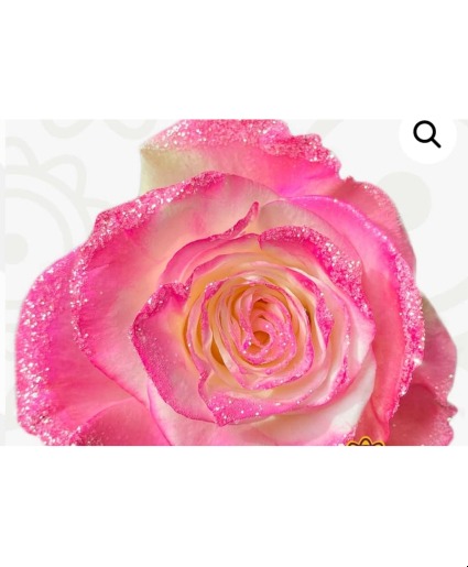 Pretty in Pink Roses available 2/11 local delivery area only