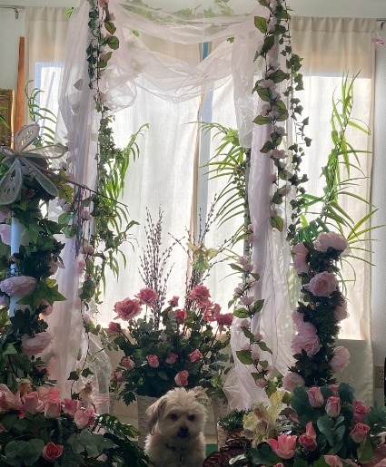 pretty in pink selfie station pick up