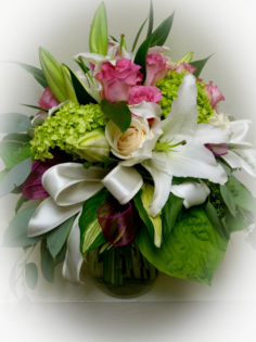 Category Image