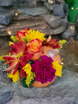Pretty in Pumpkin in Killeen, TX | MARVEL'S FLOWERS Pretty in Pumpkin in Killeen, TX | MARVEL'S FLOWERS