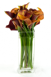Pretty orange Callas Rectangle vase