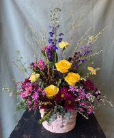 A Gentle Bloom 