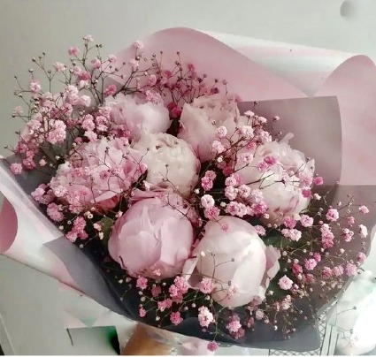 Pretty Peonies
