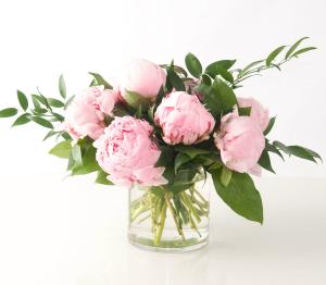 Pretty Peonies in Pink 