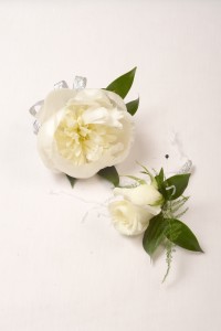 Pretty Peony