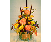 Pretty Perky Pumpkin Arrangement (local delivery only)