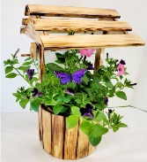 Pretty Petunia Wishing Well 