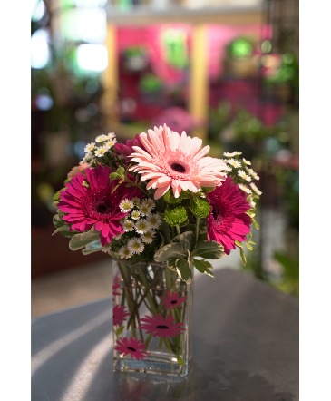 Pretty Pink Daisies Gerbera Bouquet in South Milwaukee, WI | PARKWAY FLORAL INC. Pretty Pink Daisies Gerbera Bouquet in South Milwaukee, WI | PARKWAY FLORAL INC.