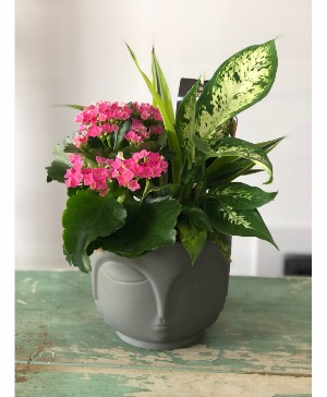 Pretty planter 
