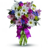 Pretty Plus All Occasions