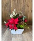 Pretty Poinsettias Dish Garden Plant