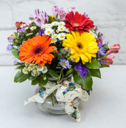 Pretty Posie Designed by Cardi