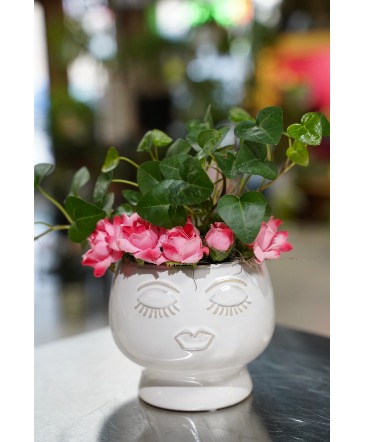 Pretty Princess  Ivy Plant in South Milwaukee, WI | PARKWAY FLORAL INC.