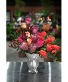 Pretty Protea Exquisite Spring Display