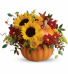 Pretty Pumpkin with Sunflowers 