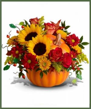 Pretty Pumpkin Bouquet in Arlington, TX | Erinn's Creations Florist Pretty Pumpkin Bouquet in Arlington, TX | Erinn's Creations Florist