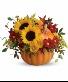 Pretty Pumpkin Bouquet Fresh Arrangement