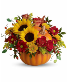 Pretty Pumpkin Bouquet vase arrangement