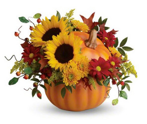 PRETTY PUMPKIN Fall