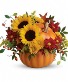 Pretty Pumpkin Fall