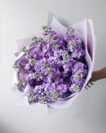Pretty Purple Stock