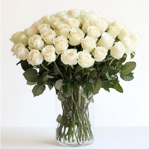 Pretty White  