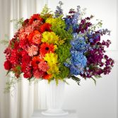 Pride and Unity Sympathy