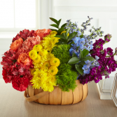 Prideful Basket Sympathy