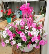 Princess Petunia Basket  Hanging Basket