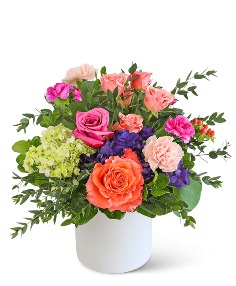 Category Image