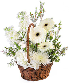 https://cdn.atwilltech.com/flowerdatabase/p/pristine-white-basket-floral-arrangement-BA01519.236.jpg