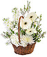 Pristine White Basket Floral Arrangement