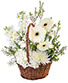 Purchase this funeral home arrangement