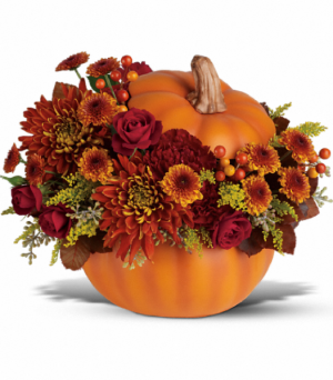 Prize Pumpkin 