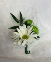 Prom Bout 9 White daisy, green button poms, (pick up only)