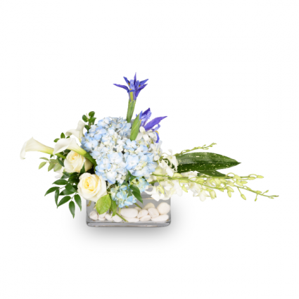 Promise Arrangement