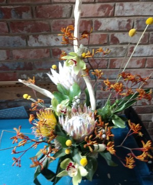 Protea and Kagaroo Paw Custom Design
