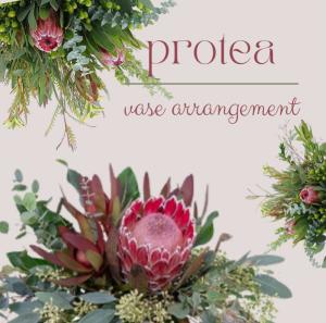 Protea & Foliage Mix 