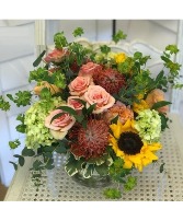 Protea Garden 