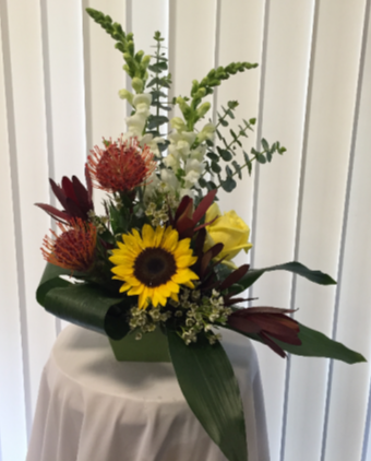 PROTEAS AND COMPANY