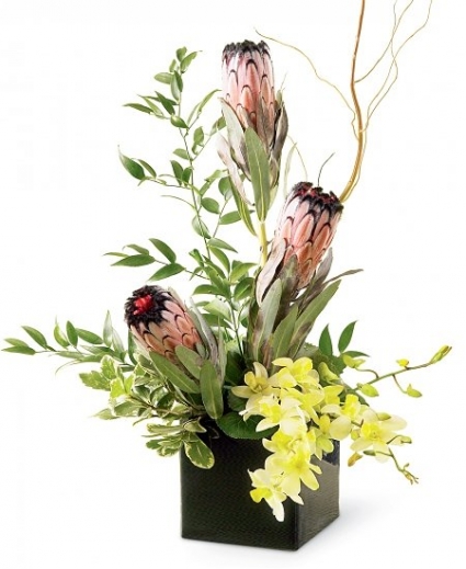 PROTEAS AND ORCHIDS ***LOCAL DELIVERY ONLY***