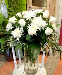 Category Image