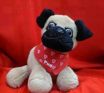 PUG PUPPY